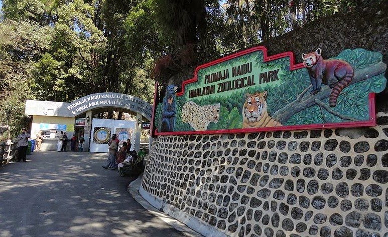 The famous Darjeeling Zoo