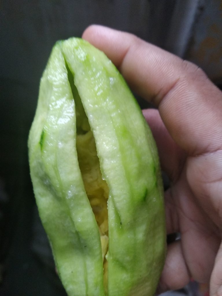 Preparation of potoeler dolma