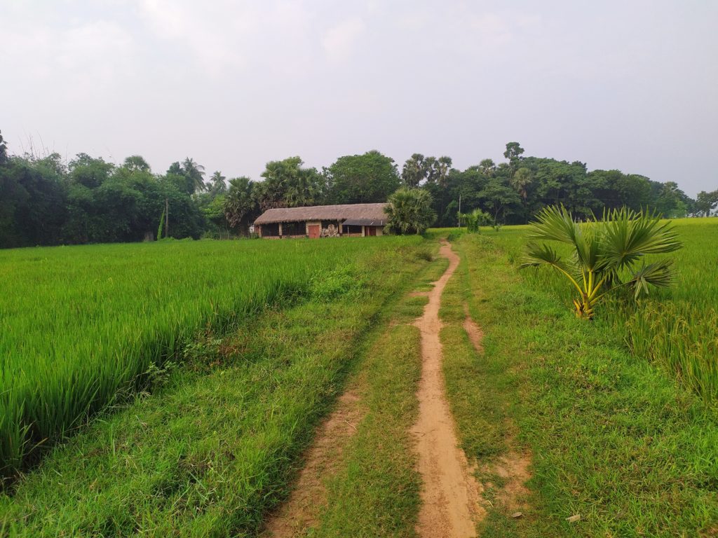 The way to my hiraeth in one of the Bengal's Villages  P.C: Suman Kumar Datta