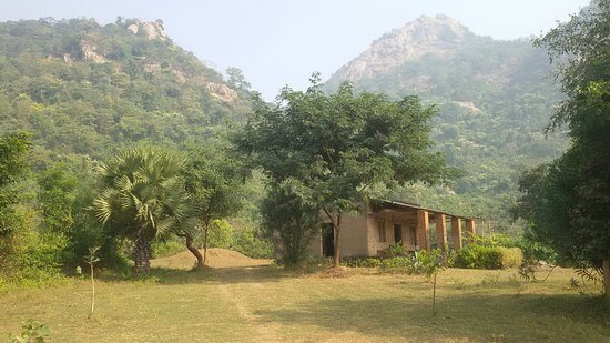 Matha Forest, Purulia