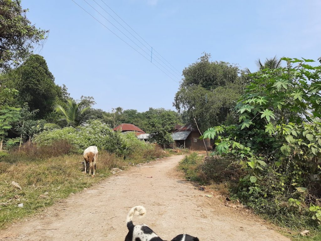 Journey to Bankura via Jhargram