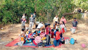 Picnics - a very important harbinger of winter in Bengal